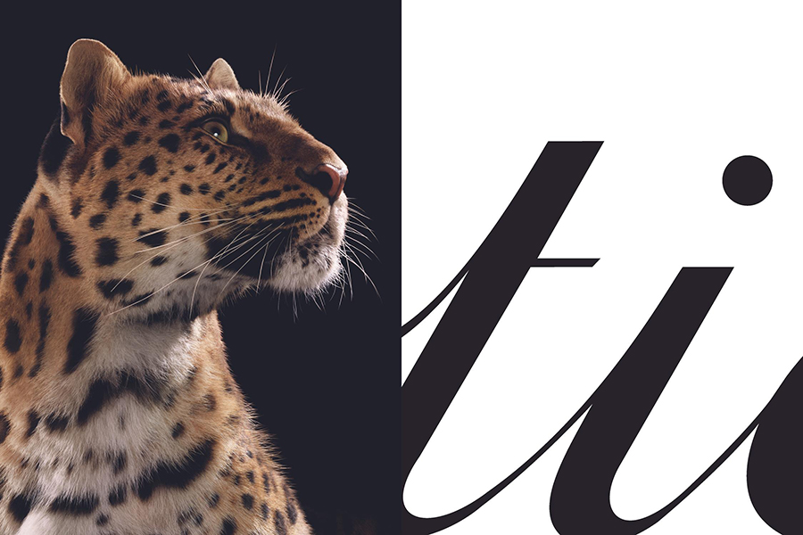 La Panthère, un emblème Cartier perpétuellement réinventé - journalduluxe.fr